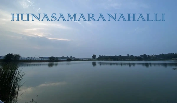 Hunasamaranahalli Lake